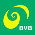 Logo BVB