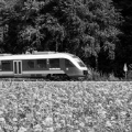 Mehr Züge und mehr Platz auf der RE 10 - copyright Jacoby NordWestBahn